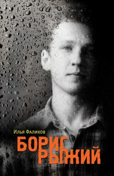 Борис Рыжий. Дивий Камень - Илья Фаликов