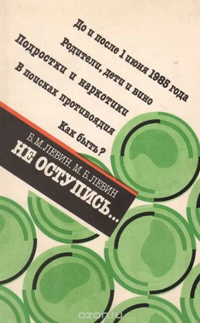 Не оступись... - Борис Левин, Михаил Левин