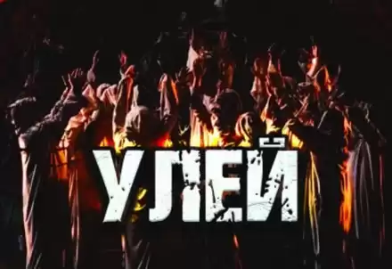 Улей - Дамир Брэди