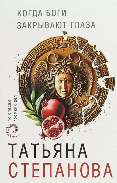 Когда боги закрывают глаза - Татьяна Степанова