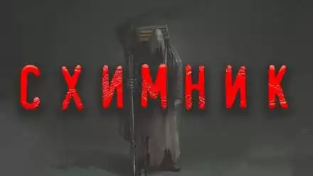 Схимник - Дамир Брэди
