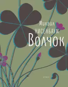 Волчок - Михаил Нисенбаум