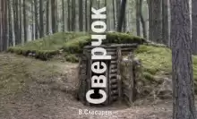 Сверчок - Вячеслав Слесарев