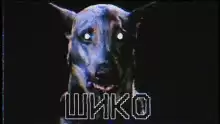 Шико - Даниил Ильмовницкий