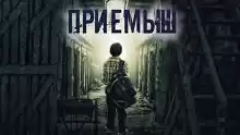Приёмыш - Александр Цзи