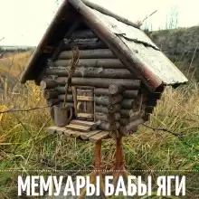 Мемуары Бабы Яги - Ирина Сёмина
