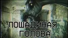 Лошадиная голова - Sallivan