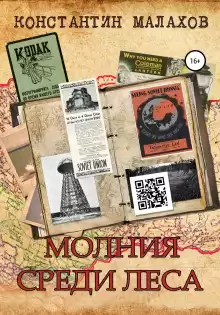 Молния среди леса - Константин Малахов