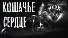Кошачье сердце - Руслан Темир