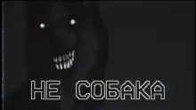 Не собака - Автор неизвестен