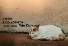Про котиков - Автор неизвестен