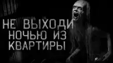 Пушистый - Tabibu