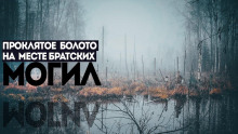 Багровое болото - Игорь Шанин