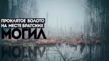 Багровое болото - Игорь Шанин