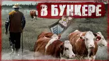 Пастух - Хамет