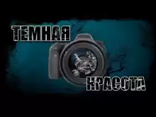 Темная красота - Дмитрий Видинеев