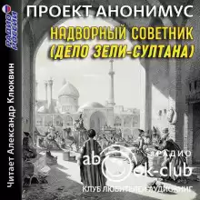 Надворный советник (Дело Зели-Султана) - Автор неизвестен
