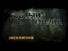 Лютый морок - Вадим Ечеистов