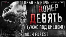 Номер девять - Random Forest