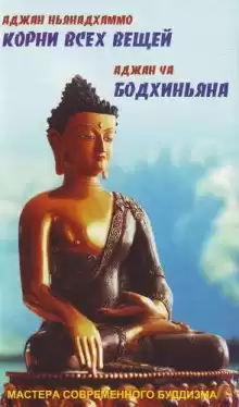 Корни всех вещей - Аджан Ньянадхаммо