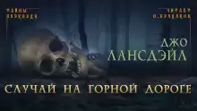 Случай на горной дороге - Джо Р. Лансдейл