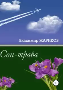 Сон-трава - Владимир Жариков