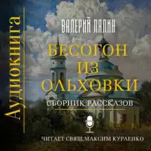 Бесогон из Ольховки. Сборник рассказов - Валерий Лялин