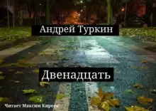 Двенадцать - Андрей Туркин