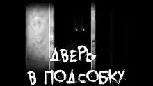 Дверь в подсобку - Olgir