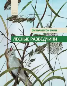 Лесные разведчики - Виталий Бианки