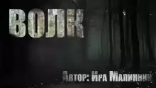 Волк - Ира Малинник