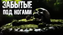 Забытые под ногами - Ольга Морган