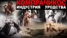 Компрачикос - Виктор Глебов