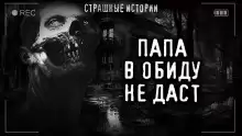 В обиду не даст - Роман Башаев