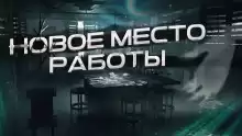 Новое место работы - Автор неизвестен
