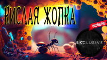 Кислая жопка - Автор неизвестен