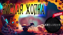 Кислая жопка - Автор неизвестен