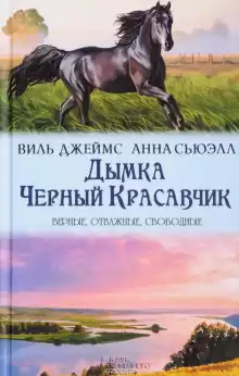 Дымка, конь ковбоя - Джемс Виль