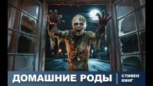 Домашние роды - Стивен Кинг