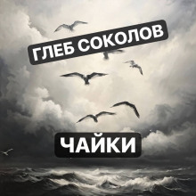 Чайки -                   Глеб Соколов